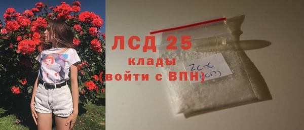 спиды Зеленокумск